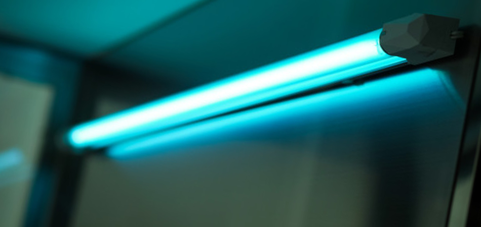 Does UV Light Kill Fungus